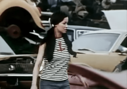 Image result for secrets of isis