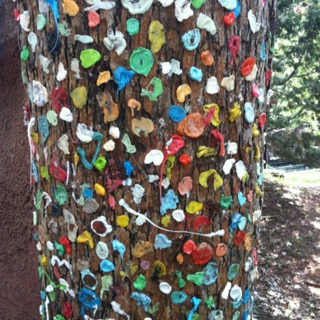 bb8e932ae0162c7a8d017d8717f43265